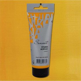 St.Petersburg 120 ml Yellow Deep 221 Sonnet Akrilik Boya