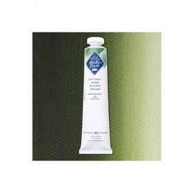 St.Petersburg Master Class 46 ml S:1 Sap Green 716 Yağlı Boya