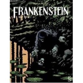 Stage 2 Frankenstein - Mary Shelley