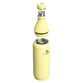 Stanley 10-12069-119 The All Day Slim 0.6 lt Sarı Soğuk Su Termos