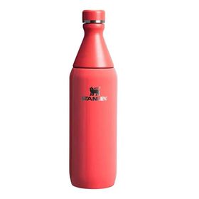 Stanley 10-12069-120 The All Day Slim 0.6 lt Kırmızı Soğuk Su Termos