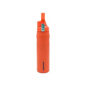 Stanley 10-12515-003 The Aerolight IceFlow 0.6 lt Turuncu Soğuk Su Termosu
