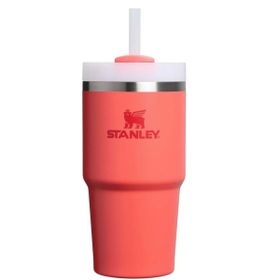 Stanley Quencher Pipetli 0.6 lt Mercan Termos Bardak