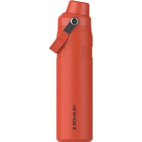 Stanley The Aerolight Iceflow 0.6 lt Tigerlily Plum Su Şişesi