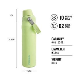 Stanley The Aerolight Iceflow Citron 600 ml Soğuk Su Termosu