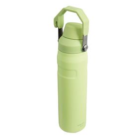 Stanley The Aerolight Iceflow Citron 600 ml Soğuk Su Termosu
