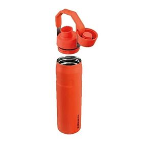 Stanley The Aerolight Iceflow Tigerlily 600 ml Soğuk Su Termosu