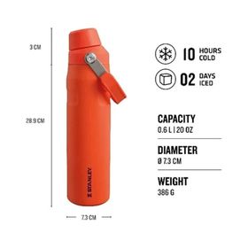 Stanley The Aerolight Iceflow Tigerlily 600 ml Soğuk Su Termosu