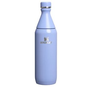 Stanley The All Day Slim 0.6 lt Lila Soğuk Su Şişesi Termos