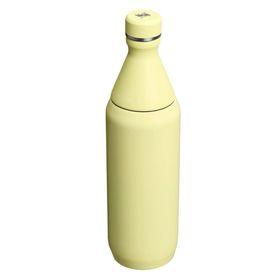 Stanley The All Day Slim 0.60 lt Sarı Soğuk Su Şişesi Termos