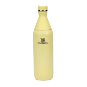 Stanley The All Day Slim 0.60 lt Sarı Soğuk Su Şişesi Termos