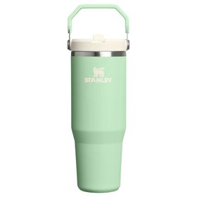 Stanley The IceFlow Flip Straw Fıstık Yeşili 0.89 lt Pipetli Termos