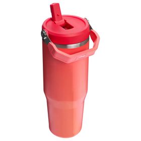 Stanley The IceFlow Flip Straw Mercan 0.89 lt Pipetli Termos