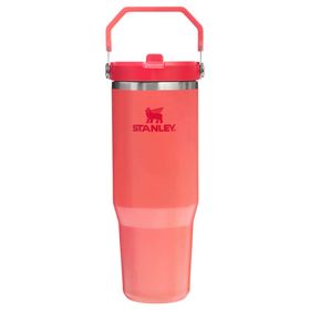 Stanley The IceFlow Flip Straw Mercan 0.89 lt Pipetli Termos