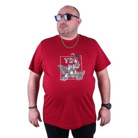 Starbattal 23114 Bordo Büyük Beden Erkek T-shirt