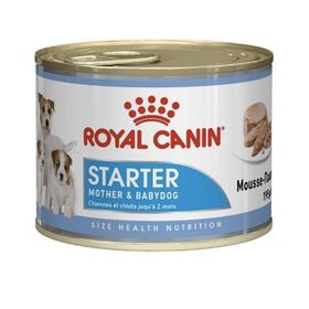 Starter 12x195 gr Mousse Mother Babydog Yavru Köpek Konservesi