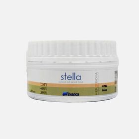 Stella Gümüş 0.25 lt Saf Akrilik Boya