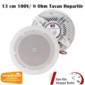 STI CS-02 Alçıpan Tavan Hoparlörü