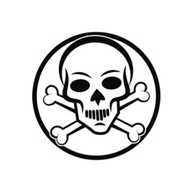 Sticker Masters Bone Skull Sticker