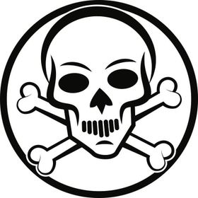 Sticker Masters Bone Skull Sticker