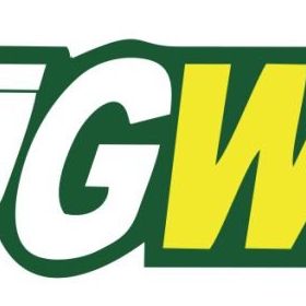 Sticker Masters Bugway Sticker