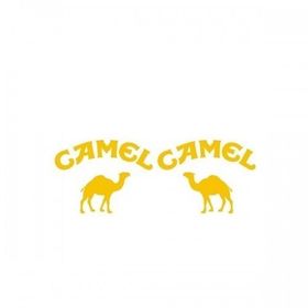 Sticker Masters Camel Sticker