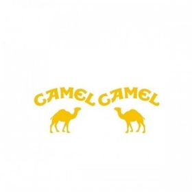 Sticker Masters Camel Sticker