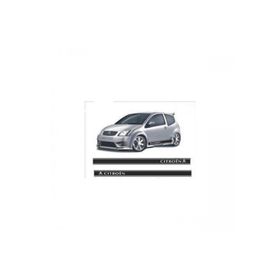 Sticker Masters Citroen Marşbiyel Üstü Sticker