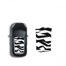 Sticker Masters Citroen Tavan Sticker