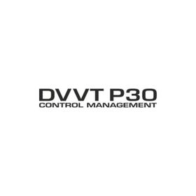 Sticker Masters Daihatsu Dvvt P30 Sticker