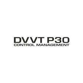 Sticker Masters Daihatsu Dvvt P30 Sticker