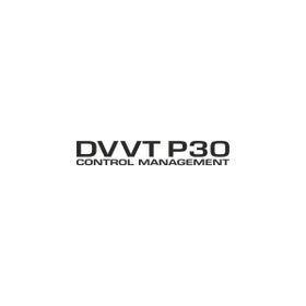 Sticker Masters Daihatsu Dvvt P30 Sticker