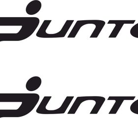 Sticker Masters Fiat Punto Sticker