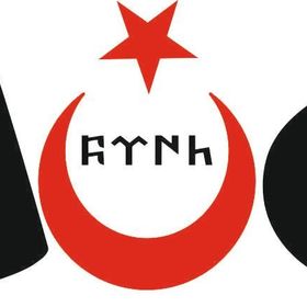 Sticker Masters Göktürk Türk Bayrağı Sticker