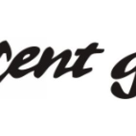Sticker Masters Hyundai Accent Gls Sticker