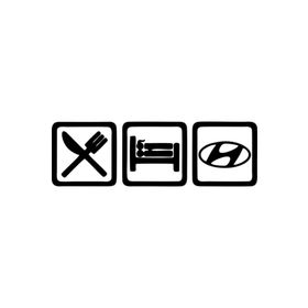 Sticker Masters Hyundai Jdm Sticker