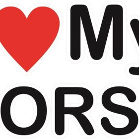 Sticker Masters I Love My Corsa Sticker