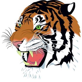 Sticker Masters Kaplan Color Sticker