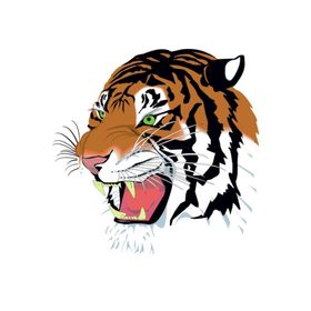 Sticker Masters Kaplan Color Sticker