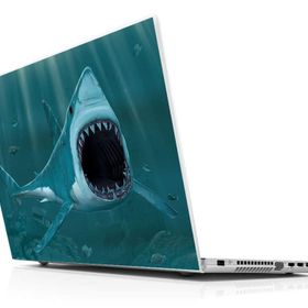 Sticker Masters Köpek Balığı Laptop Duvar Stickerı