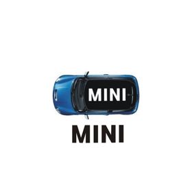 Sticker Masters Mini Cooper Tavan Sticker