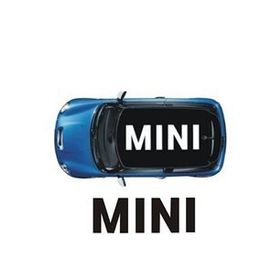 Sticker Masters Mini Cooper Tavan Sticker