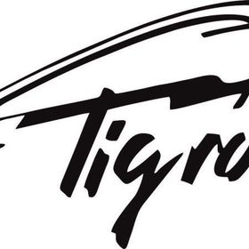 Sticker Masters Opel Tigra Sticker