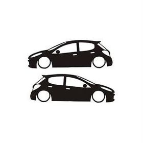 Sticker Masters Peugeot 207 Sticker Set