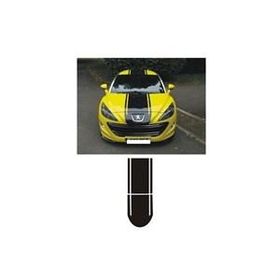 Sticker Masters Peugeot 207 Sticker Set