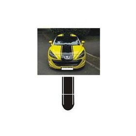 Sticker Masters Peugeot 307 Sticker Set