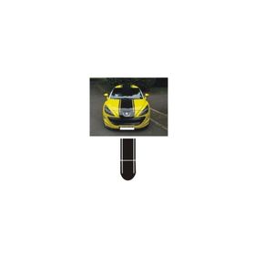 Sticker Masters Peugeot 307 Sticker Set