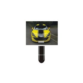 Sticker Masters Peugeot 307 Sticker Set