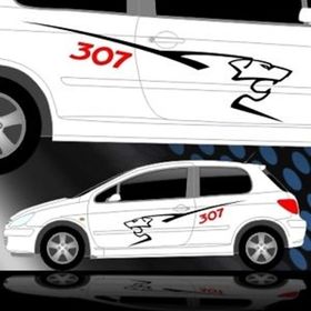 Sticker Masters Peugeot 307 Sticker Set