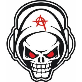 Sticker Masters Skull Anarchy Sticker